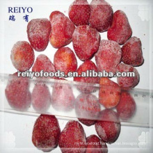 Best quality of Frozen strawberry US13#